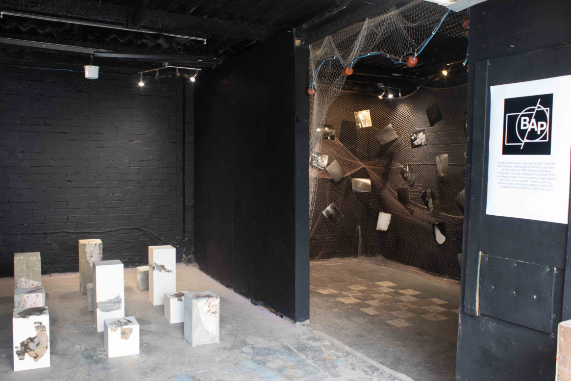  Exhibition View