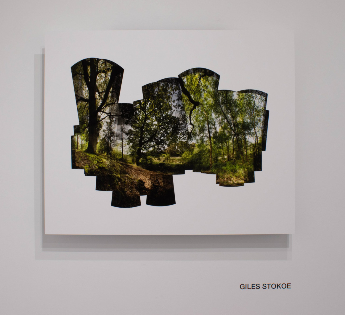 Giles Stokoe - Ashburnham Place